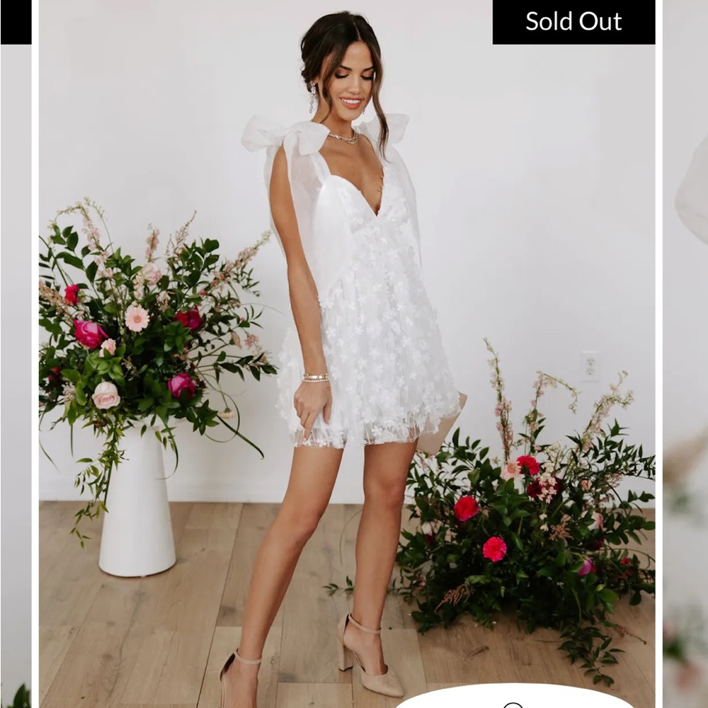 Vici heavenly beauty floral applique tulle organza mini dress